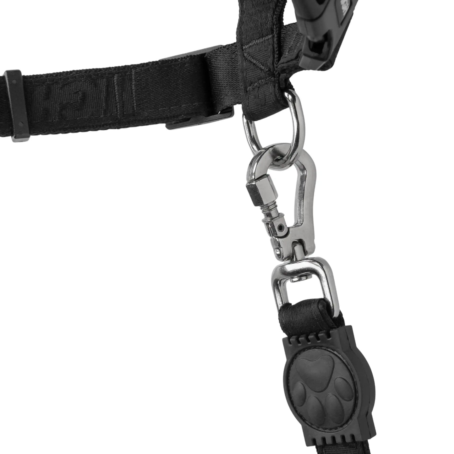 Dog Collar Black
