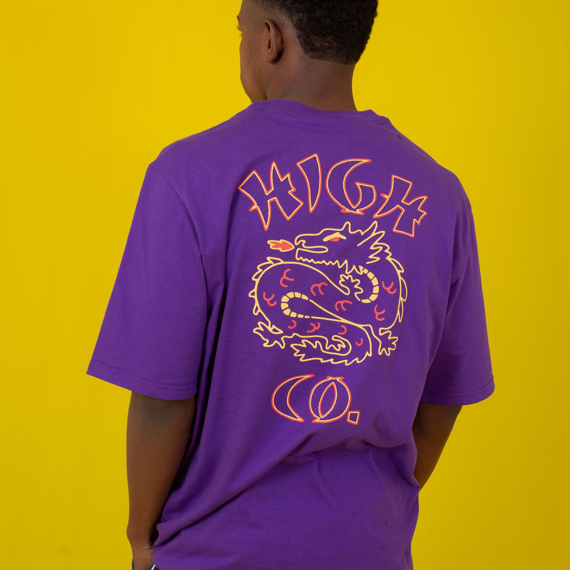 Tee Draco Purple
