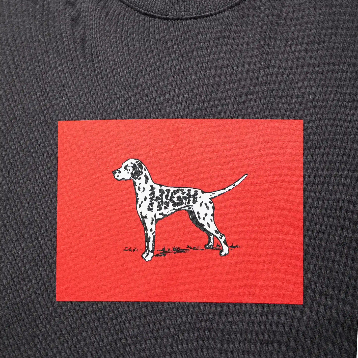 Tee Dalmatian Grey