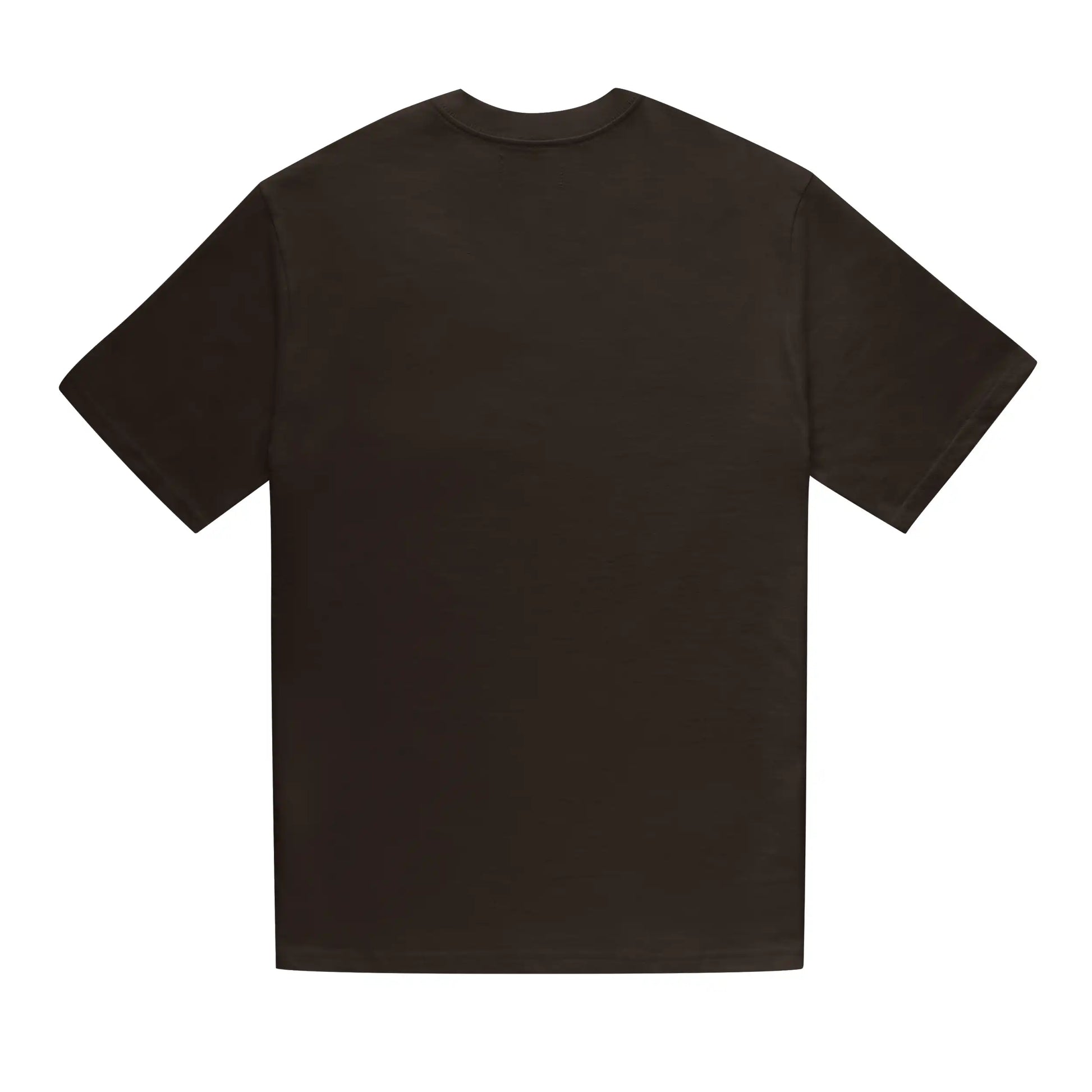 Tee Night Dragon Brown