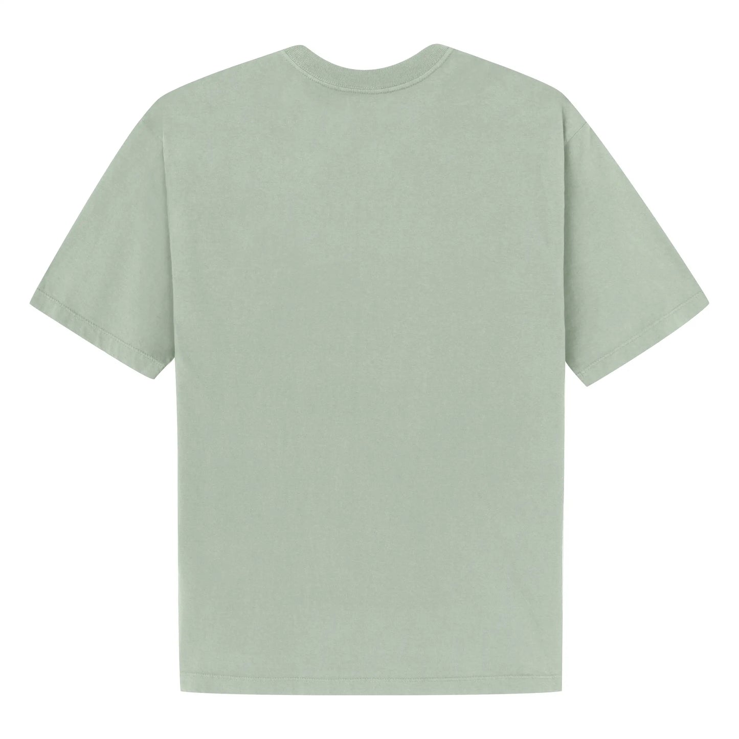 Tee Wings Light Green