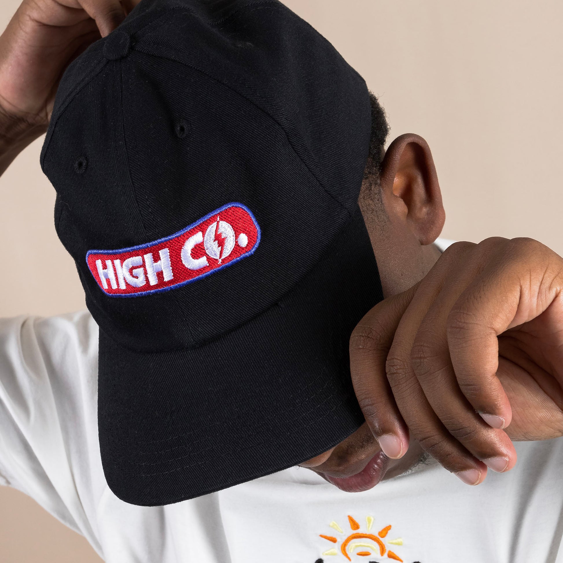 6 Panel Battery Black